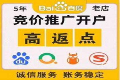 百度推广实战：成功案例解析